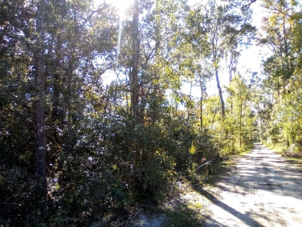 SE 65 Avenue Summerfield FL 34491 A4641880 image1