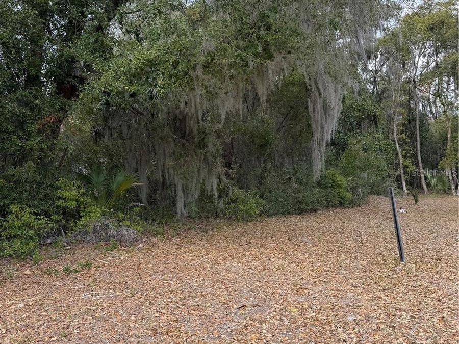 SE 65th Avenue Hawthorne FL 32640 GC537746 image1