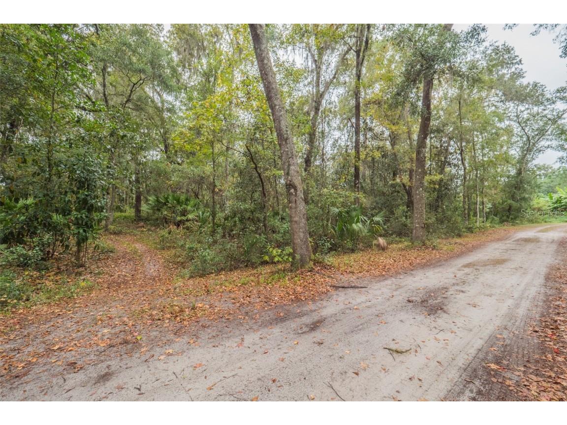 SE 65th Avenue Summerfield FL 34491 G5075612 image1