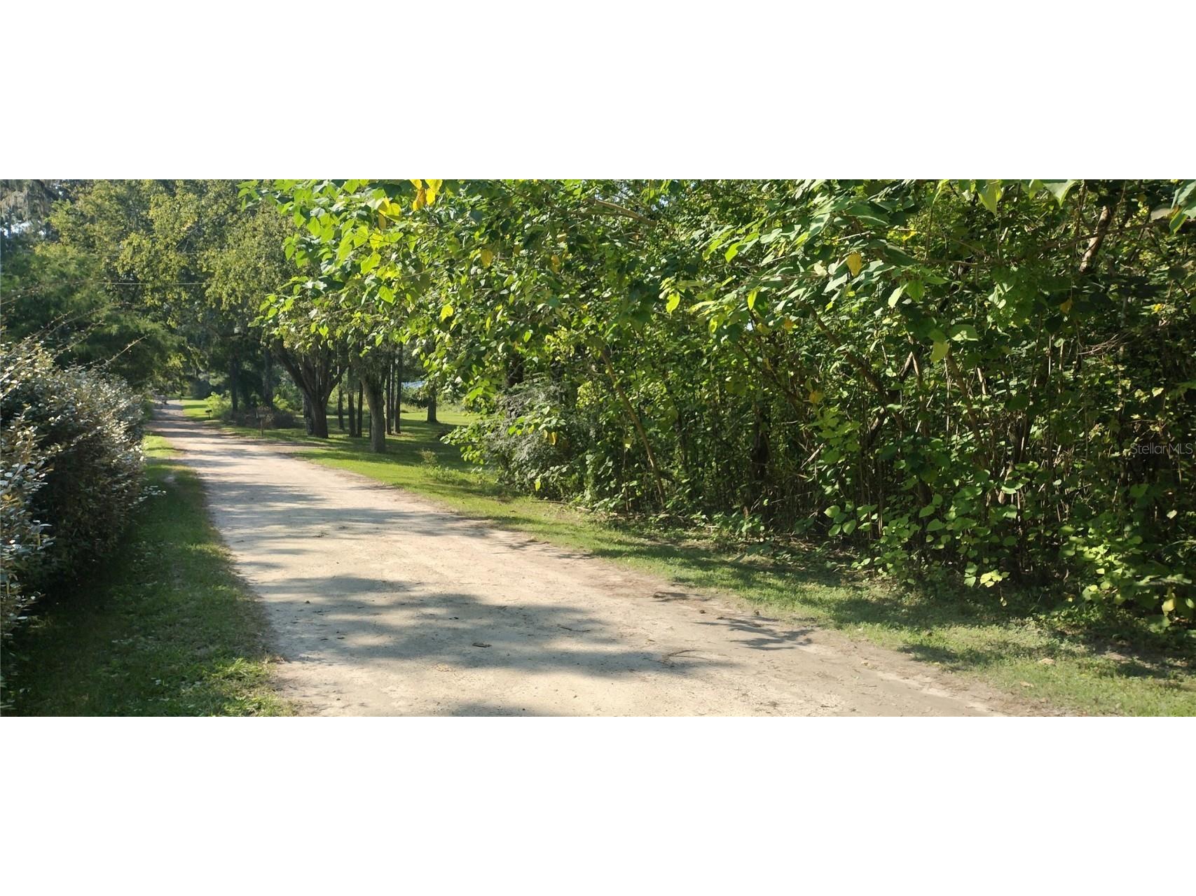 SE 66 Street Ocala FL 34476 OM687728 image1