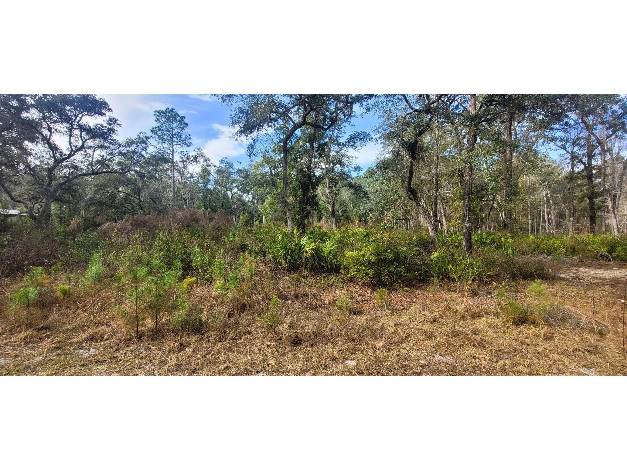 SE 68th Terrace White Springs FL 32096 A4676847 image1