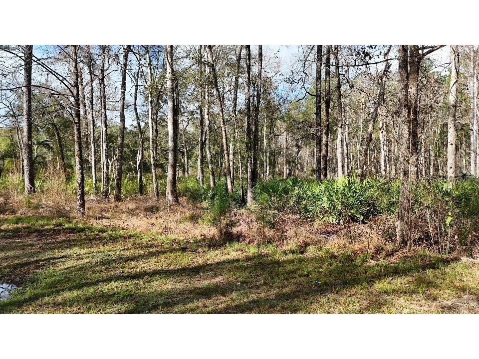 SE 68th Terrace White Springs FL 32096 A4676847 image10