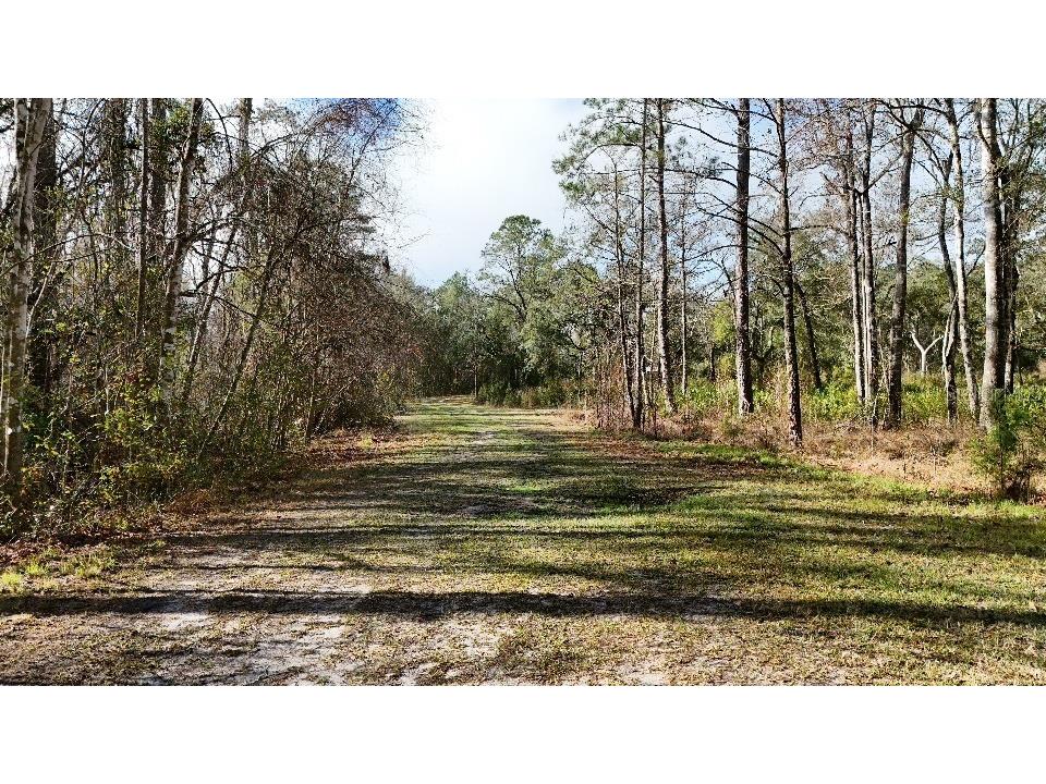 SE 68th Terrace White Springs FL 32096 A4676847 image11