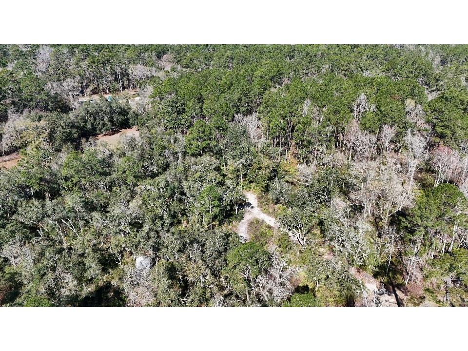 SE 68th Terrace White Springs FL 32096 A4676847 image12