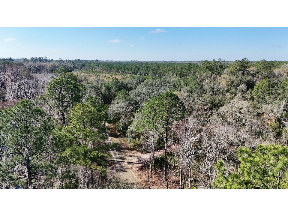 SE 68th Terrace White Springs FL 32096 A4676847 image13