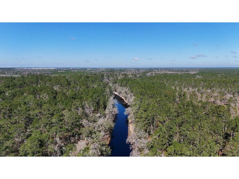 SE 68th Terrace White Springs FL 32096 A4676847 image14