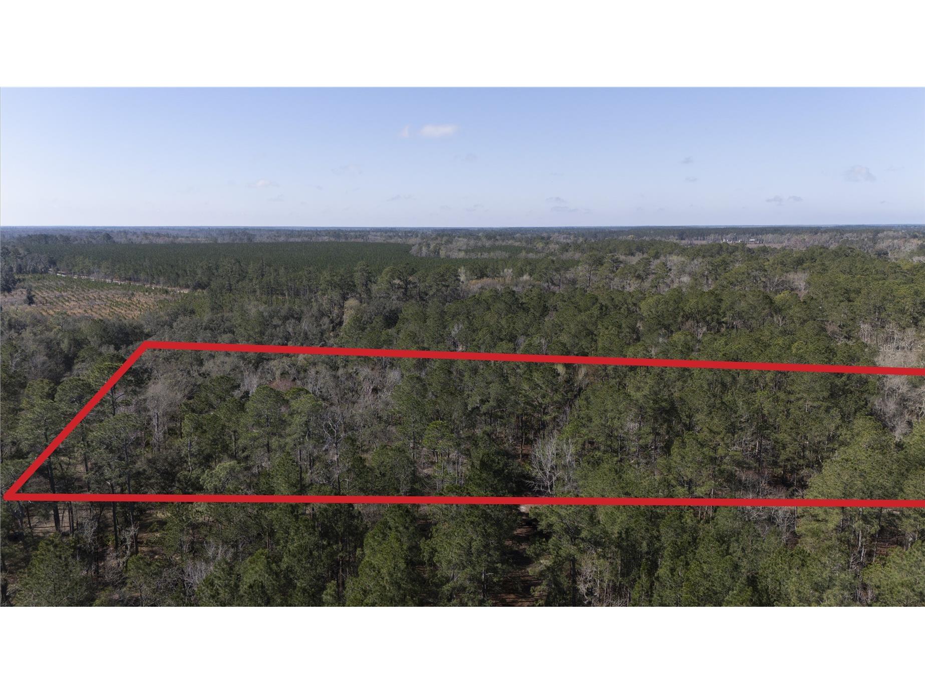 SE 68th Terrace White Springs FL 32096 A4676847 image16