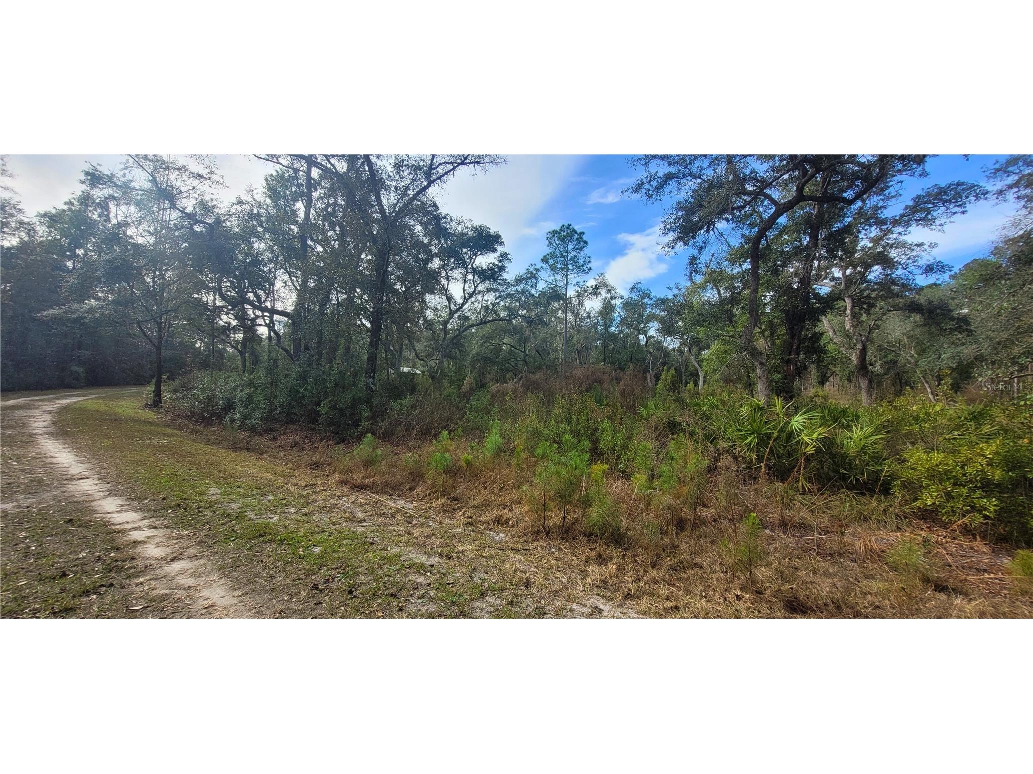 SE 68th Terrace White Springs FL 32096 A4676847 image2