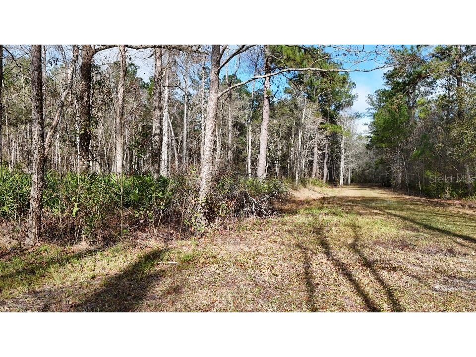 SE 68th Terrace White Springs FL 32096 A4676847 image5