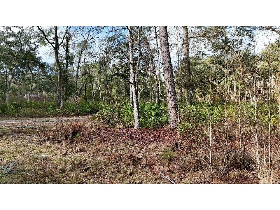 SE 68th Terrace White Springs FL 32096 A4676847 image9