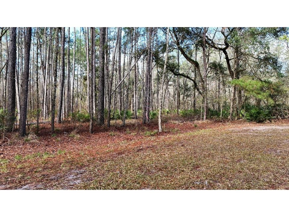 SE 68th Terrace White Springs FL 32096 A4676850 image1