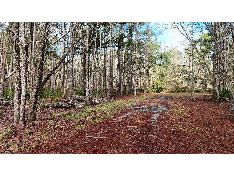 SE 68th Terrace White Springs FL 32096 A4676850 image10