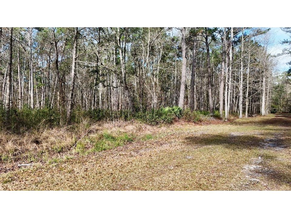 SE 68th Terrace White Springs FL 32096 A4676850 image11