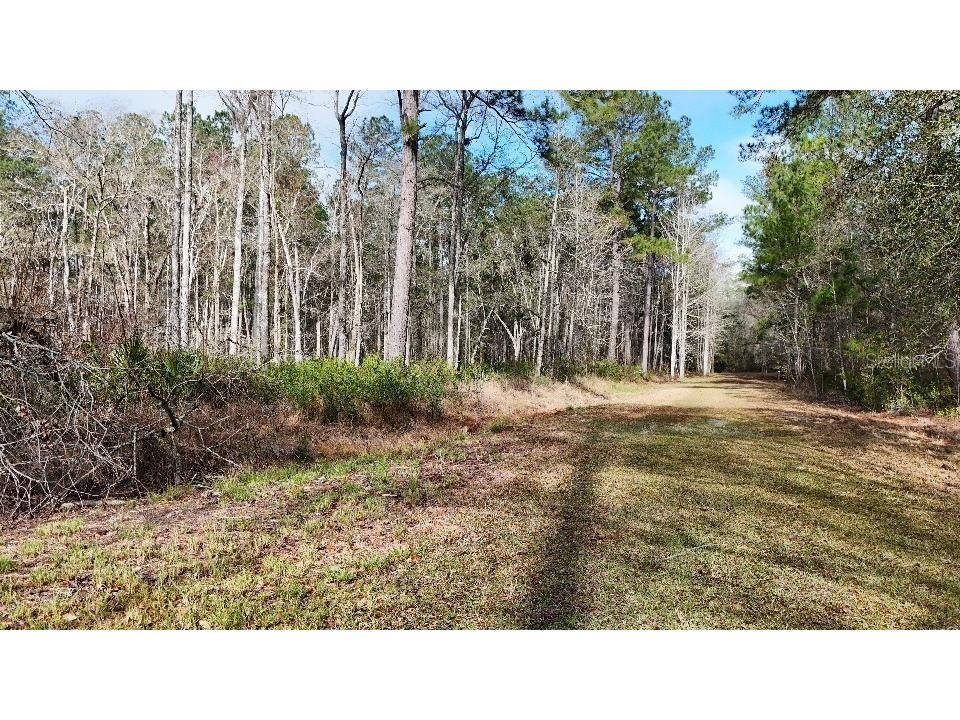 SE 68th Terrace White Springs FL 32096 A4676850 image12