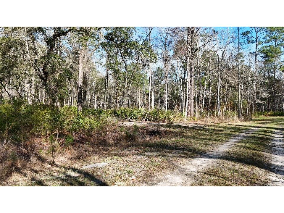 SE 68th Terrace White Springs FL 32096 A4676850 image14