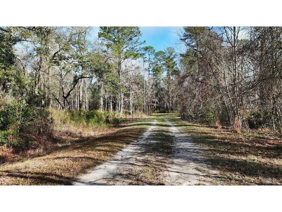 SE 68th Terrace White Springs FL 32096 A4676850 image15