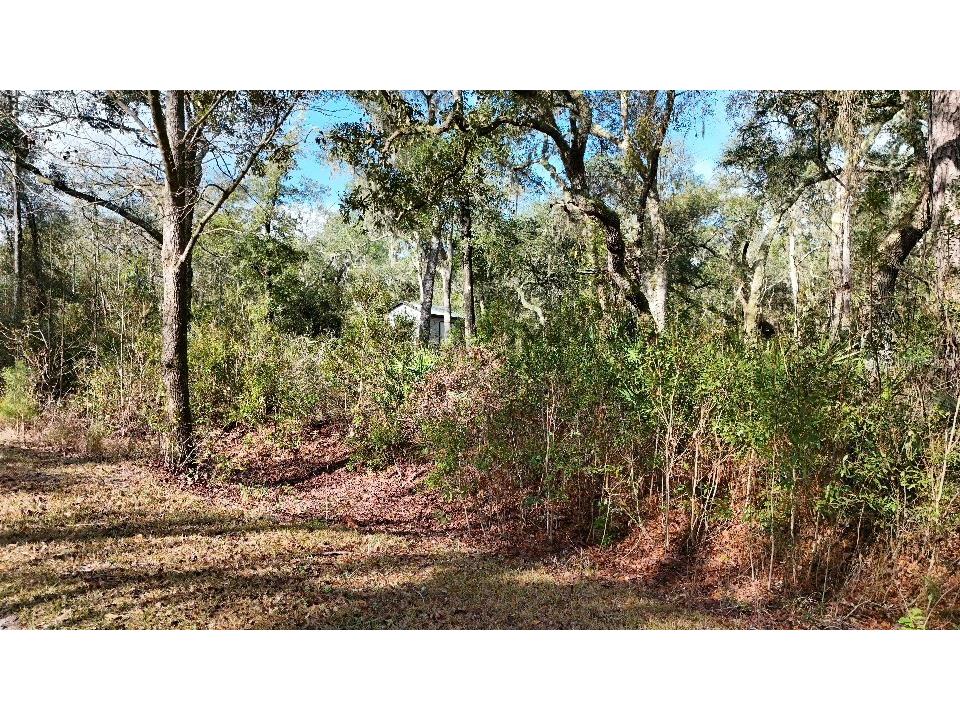 SE 68th Terrace White Springs FL 32096 A4676850 image16