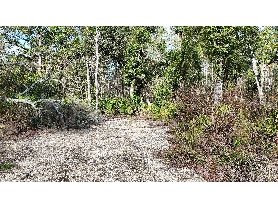 SE 68th Terrace White Springs FL 32096 A4676850 image17