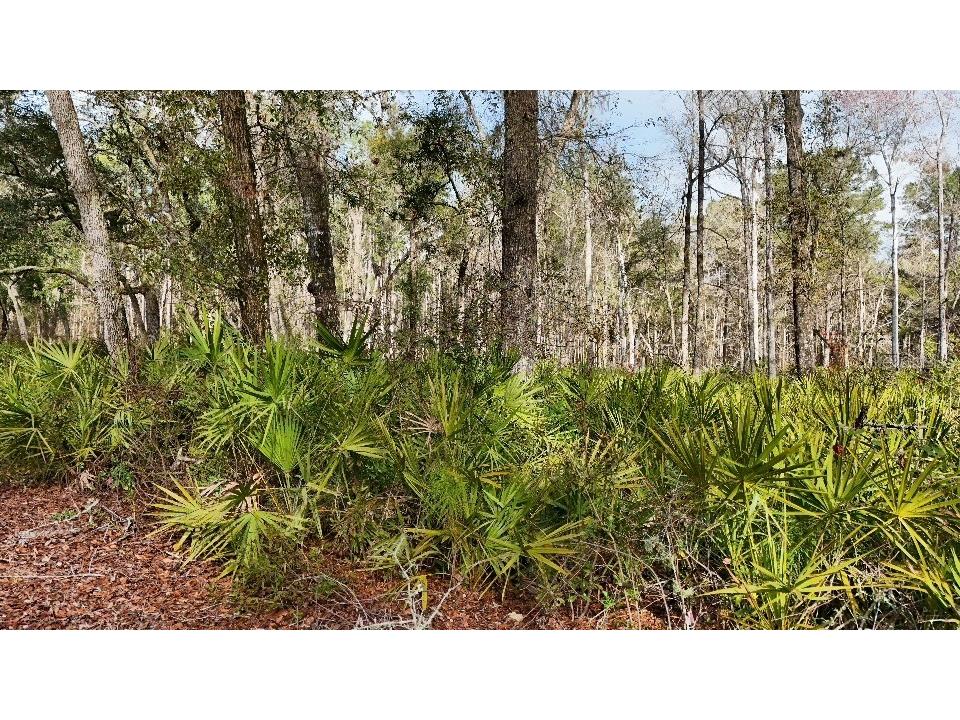 SE 68th Terrace White Springs FL 32096 A4676850 image19