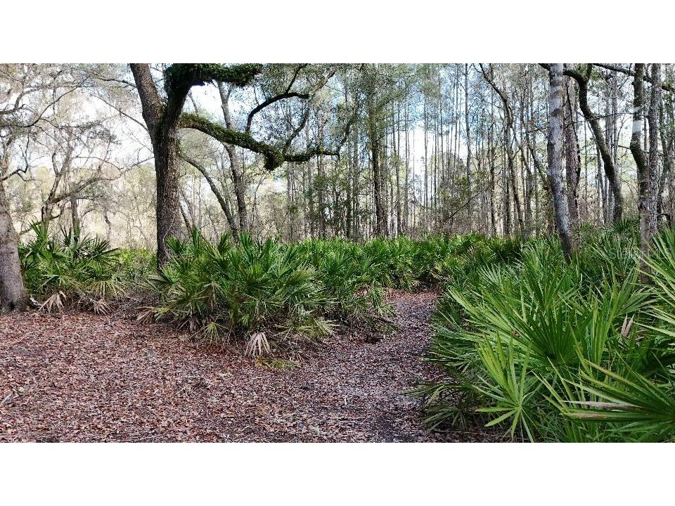 SE 68th Terrace White Springs FL 32096 A4676850 image2