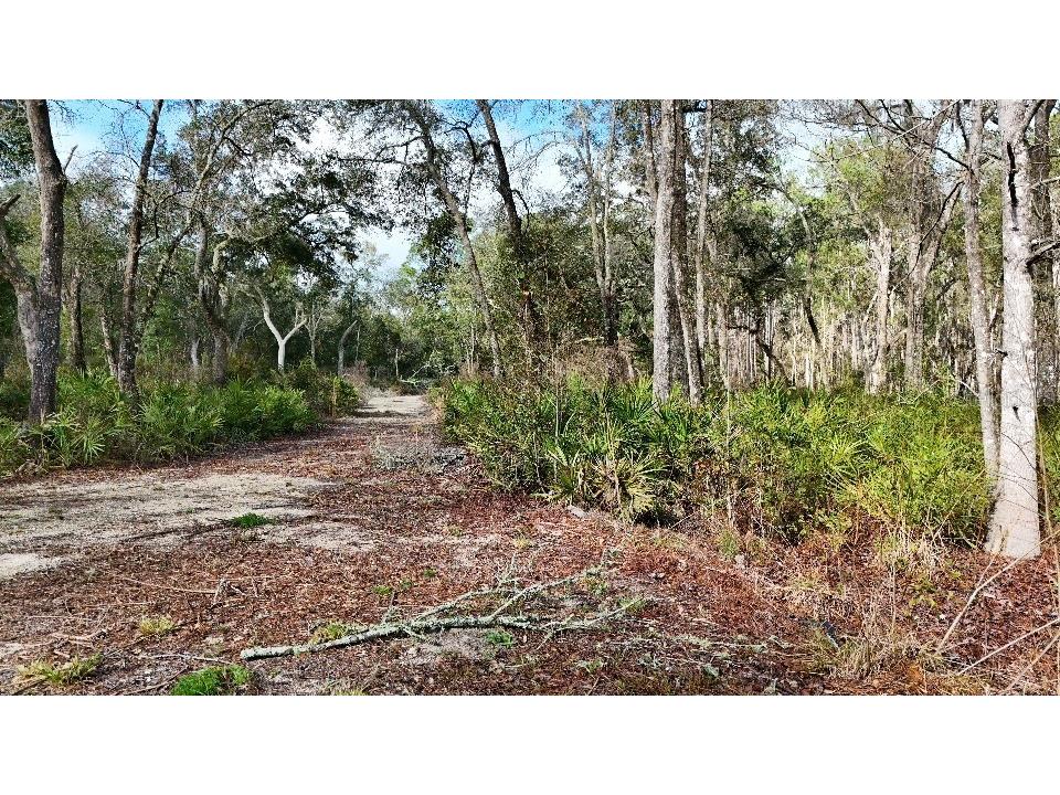 SE 68th Terrace White Springs FL 32096 A4676850 image20