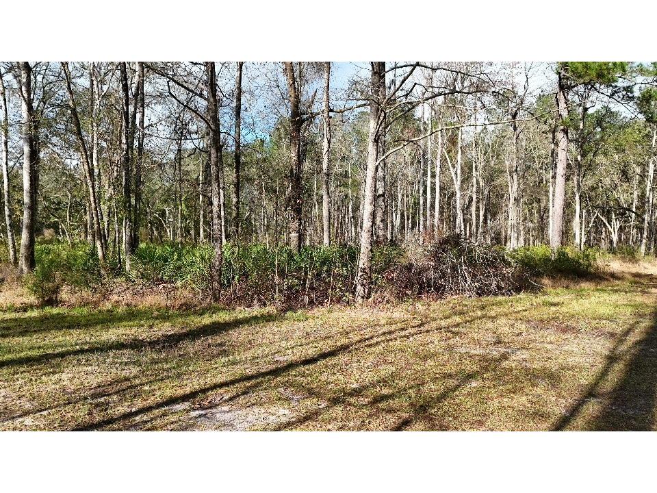 SE 68th Terrace White Springs FL 32096 A4676850 image23