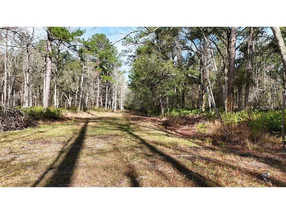 SE 68th Terrace White Springs FL 32096 A4676850 image24