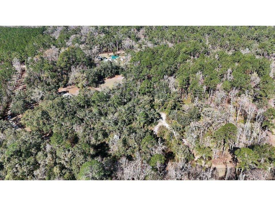 SE 68th Terrace White Springs FL 32096 A4676850 image25