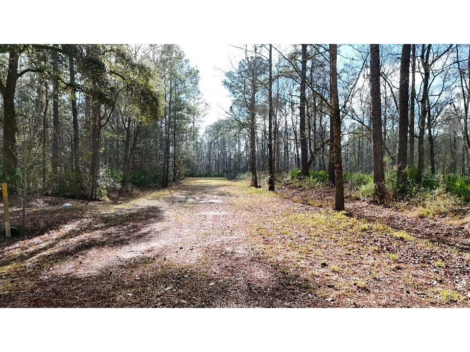 SE 68th Terrace White Springs FL 32096 A4676850 image3