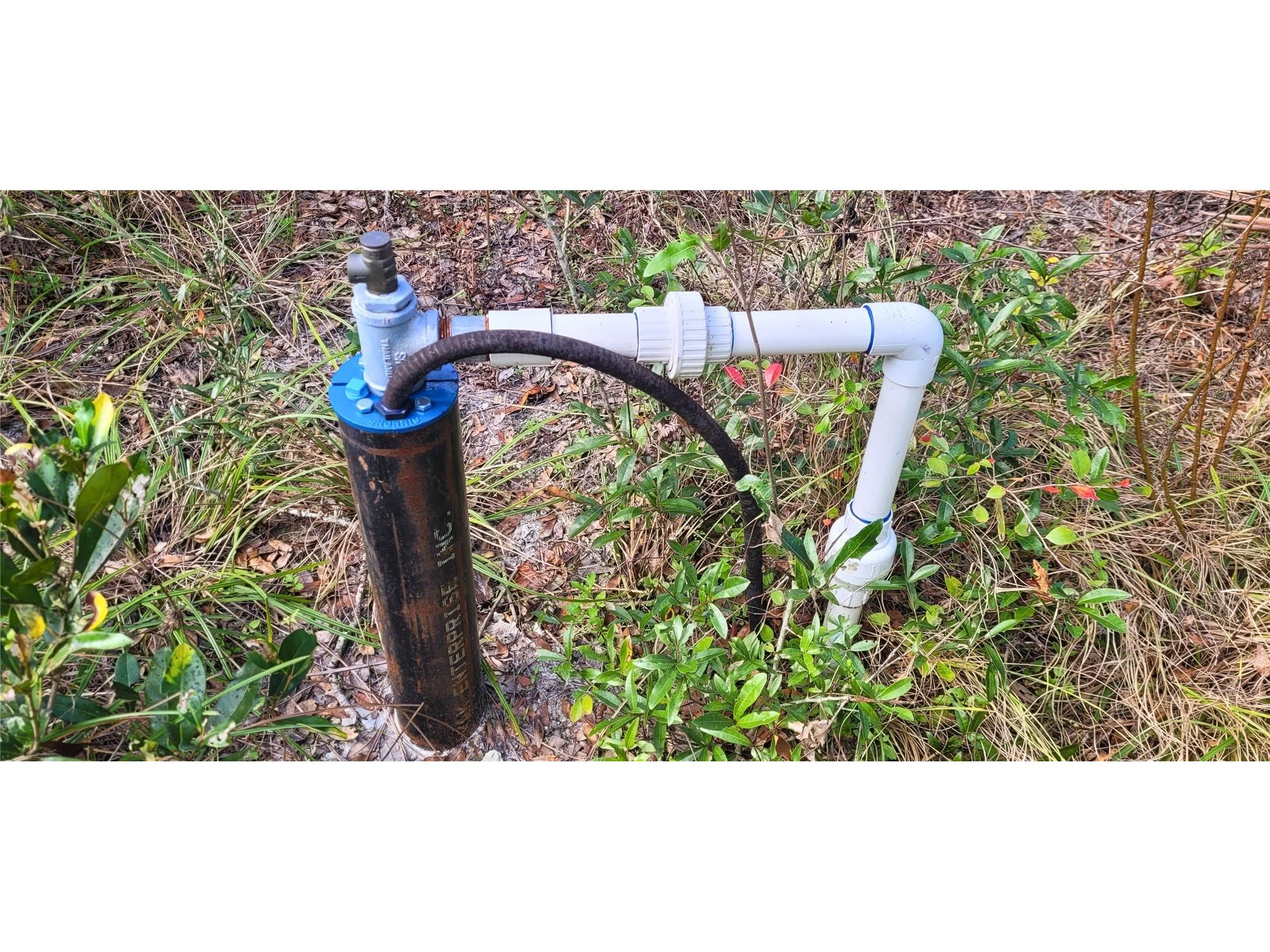 SE 68th Terrace White Springs FL 32096 A4676850 image4