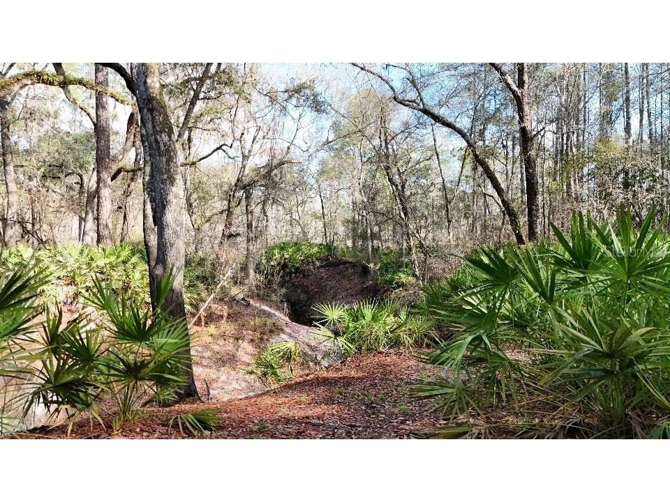 SE 68th Terrace White Springs FL 32096 A4676850 image7