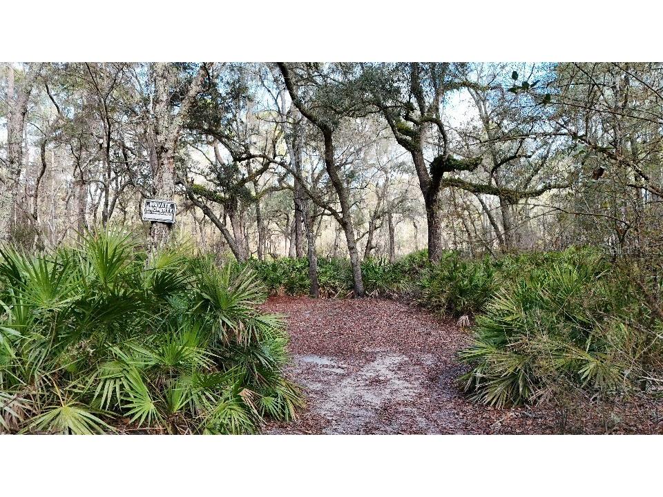 SE 68th Terrace White Springs FL 32096 A4676850 image8