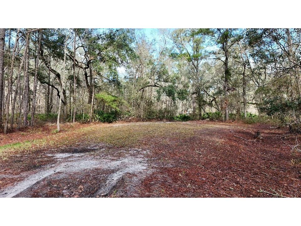 SE 68th Terrace White Springs FL 32096 A4676850 image9