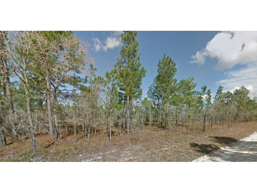 Se 6th Ln Williston FL 32696 T3513555 image1