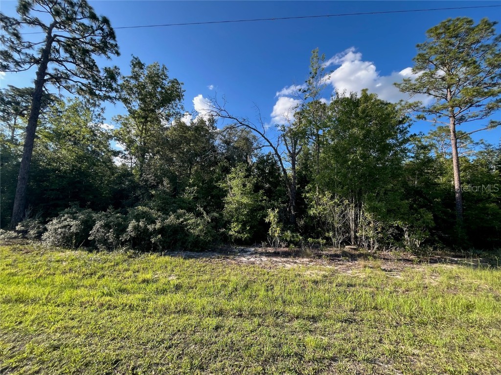 SE 70th Lane Morriston FL 32668 OK224125 image1