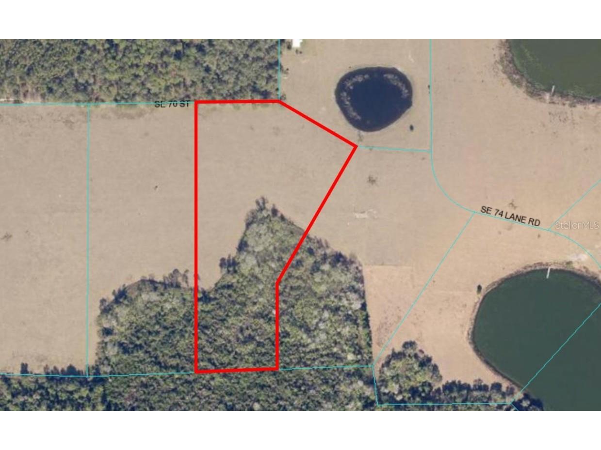 SE 70th Street #4-WEST Ocklawaha FL 32179 OM662060 image1