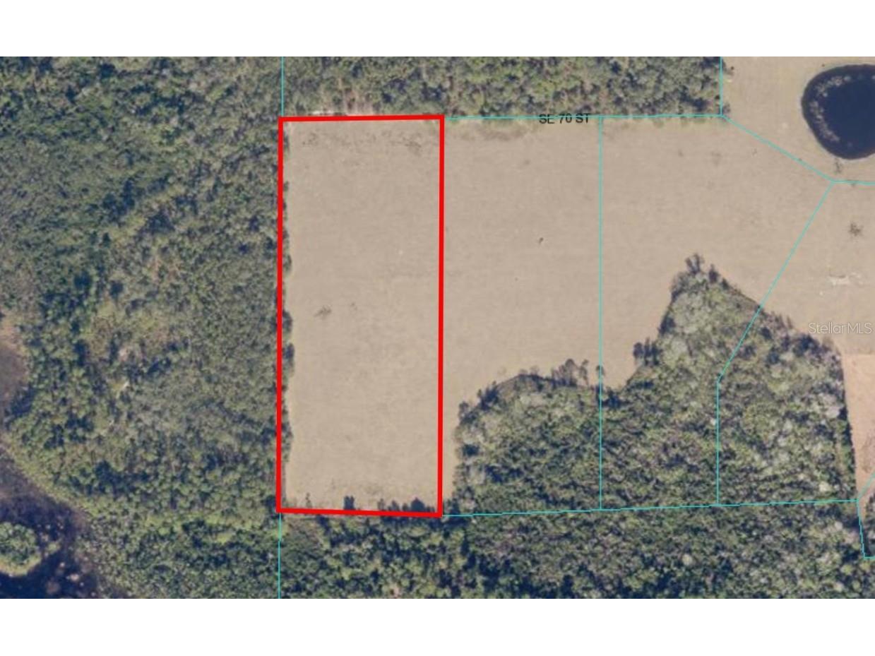 SE 70th Street #6-WEST Ocklawaha FL 32179 OM662072 image1