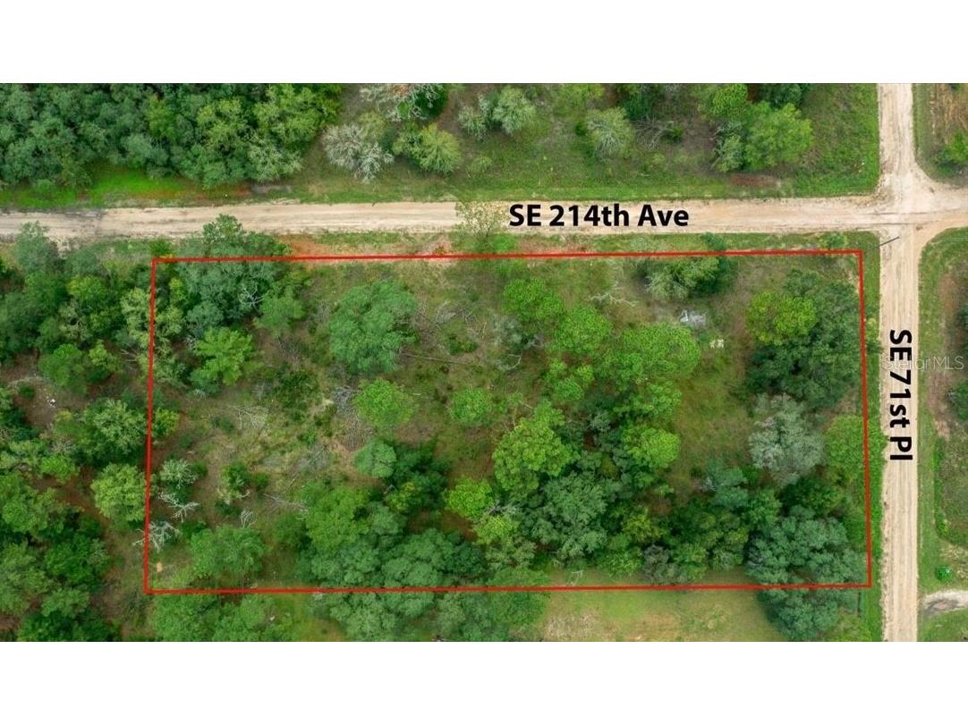 SE 71st Place Morriston FL 32668 OM706244 image1