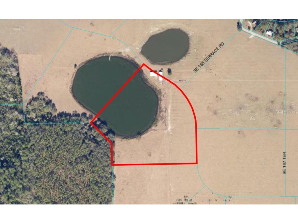 SE 74th Lane Road #1-WEST Ocklawaha FL 32179 OM662055 image1