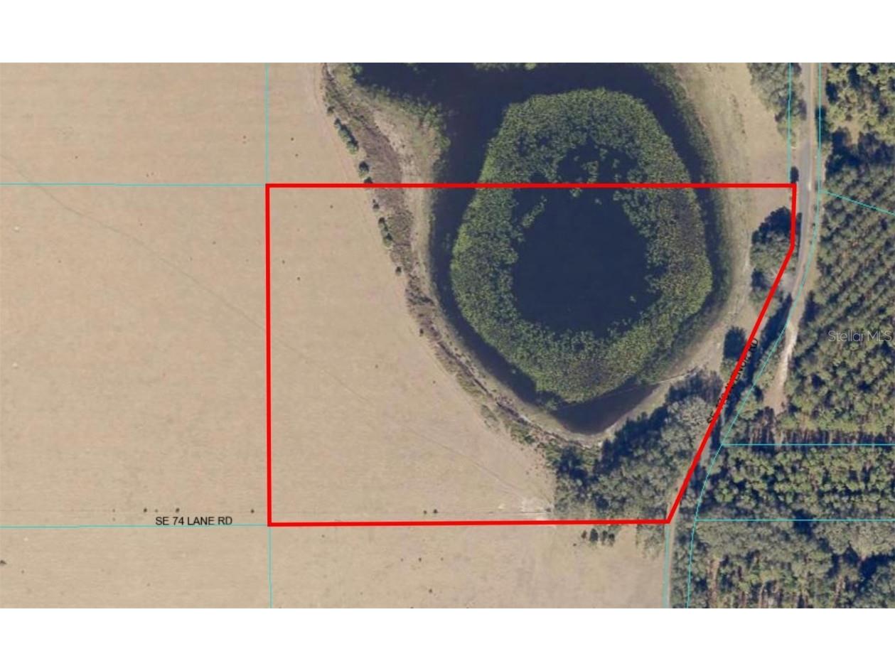 SE 74th Lane Road #10-EAST Ocklawaha FL 32179 OM662099 image1