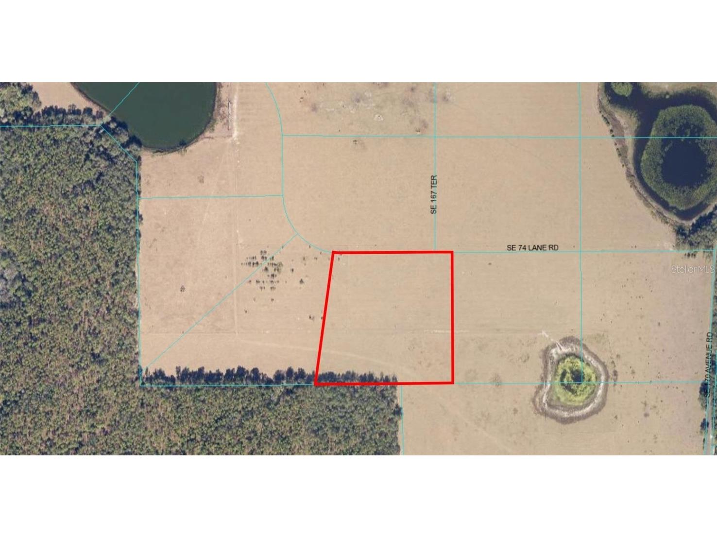 SE 74th Lane Road #3-EAST Ocklawaha FL 32179 OM662090 image1