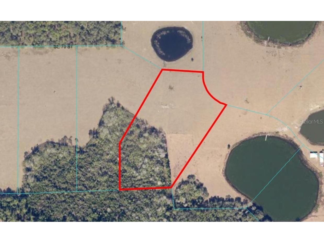 SE 74th Lane Road #3-WEST Ocklawaha FL 32179 OM662059 image1