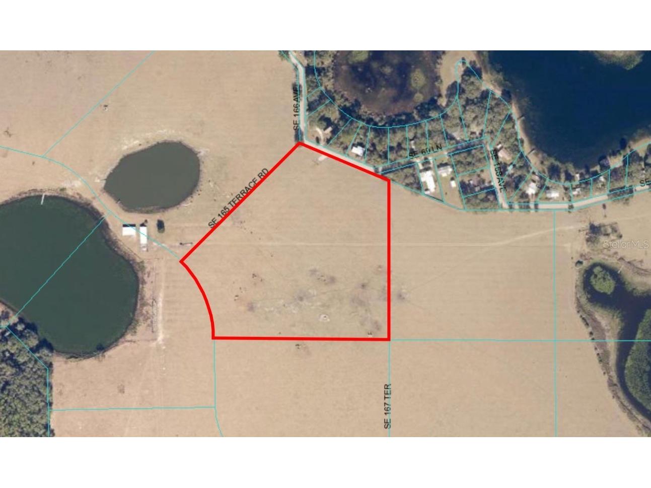 SE 74th Lane Road #6-EAST Ocklawaha FL 32179 OM662094 image1