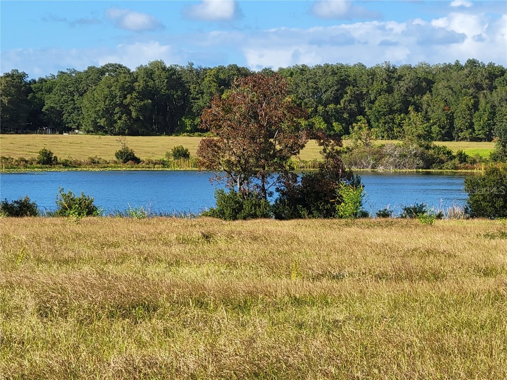 SE 74th Lane Road #6-EAST Ocklawaha FL 32179 OM662094 image16