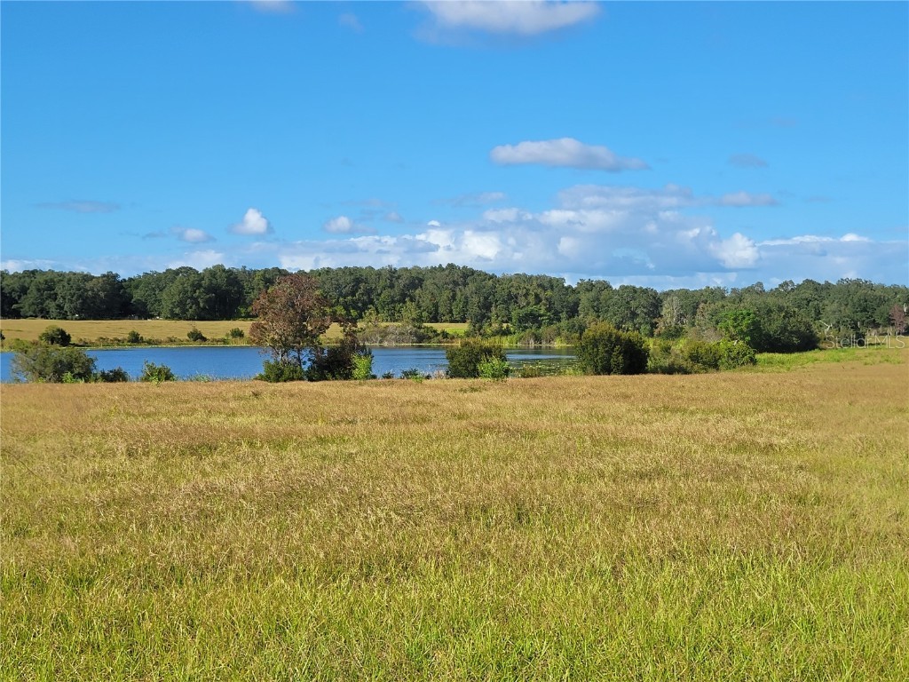 SE 74th Lane Road #6-EAST Ocklawaha FL 32179 OM662094 image17