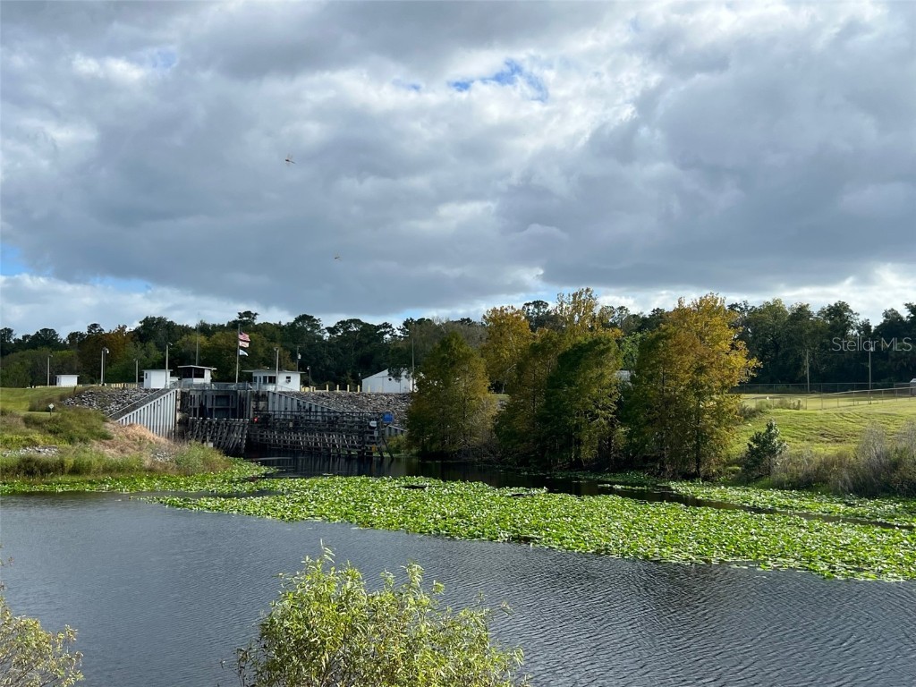 SE 74th Lane Road #6-EAST Ocklawaha FL 32179 OM662094 image25