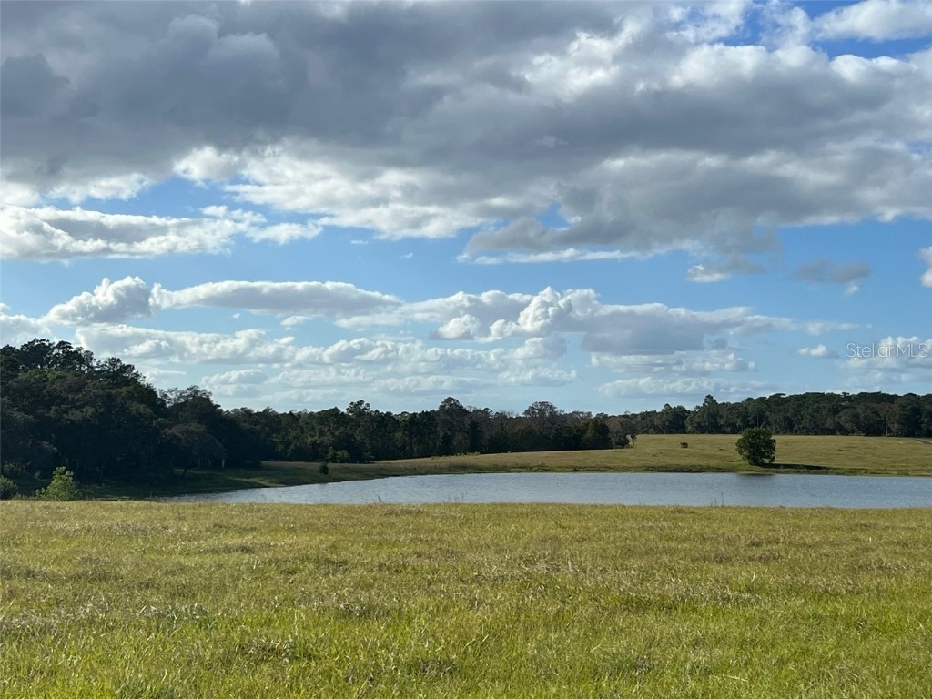 SE 74th Lane Road #6-EAST Ocklawaha FL 32179 OM662094 image31