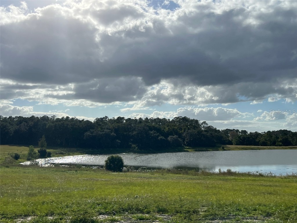 SE 74th Lane Road #6-EAST Ocklawaha FL 32179 OM662094 image32