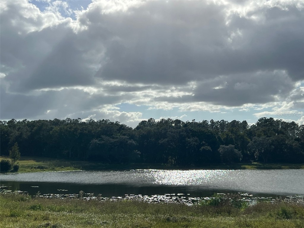 SE 74th Lane Road #6-EAST Ocklawaha FL 32179 OM662094 image37