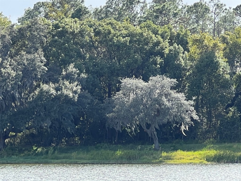 SE 74th Lane Road #6-EAST Ocklawaha FL 32179 OM662094 image39